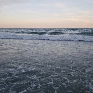 Meet your Posher, Halie